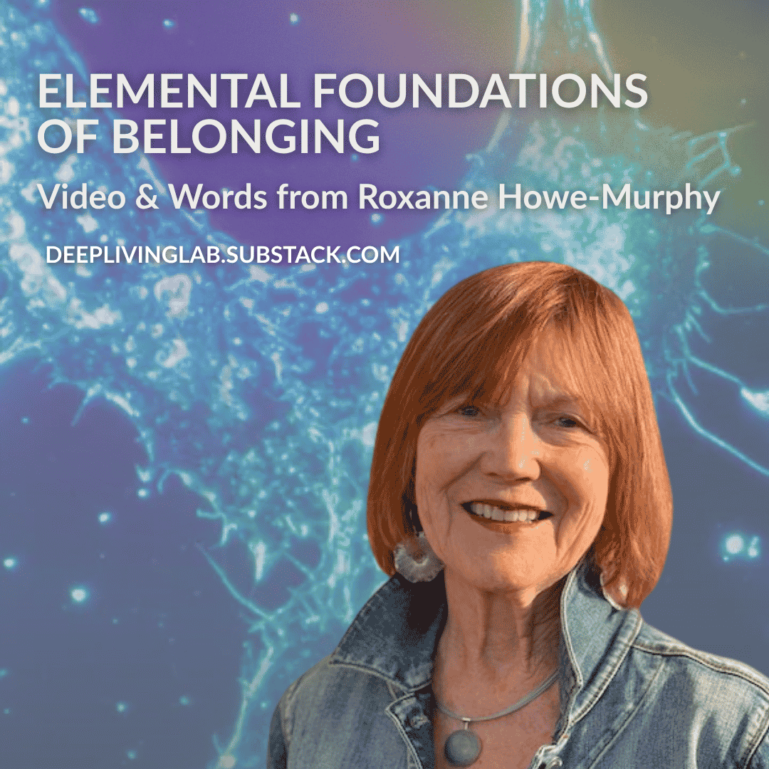 Elemental foundations of belonging by Roxanne Howe-Murphy