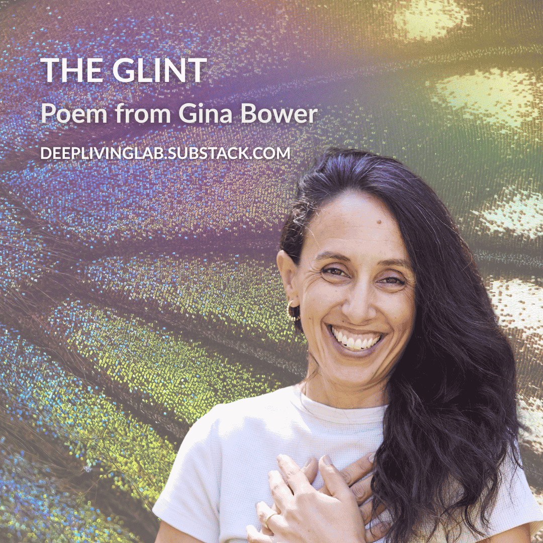 THE GLINT by Gina Bower
